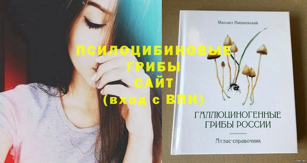 винт Верея