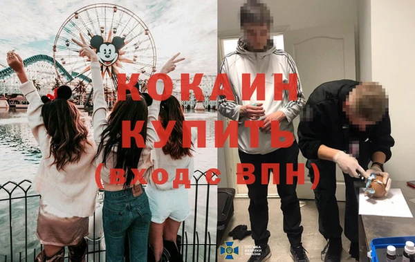 винт Верея