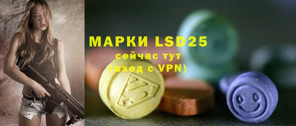 винт Верея