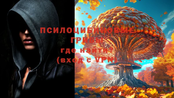 винт Верея
