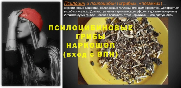 Альфа ПВП Верхнеуральск